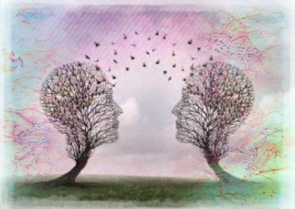 treeconnection treeconnection